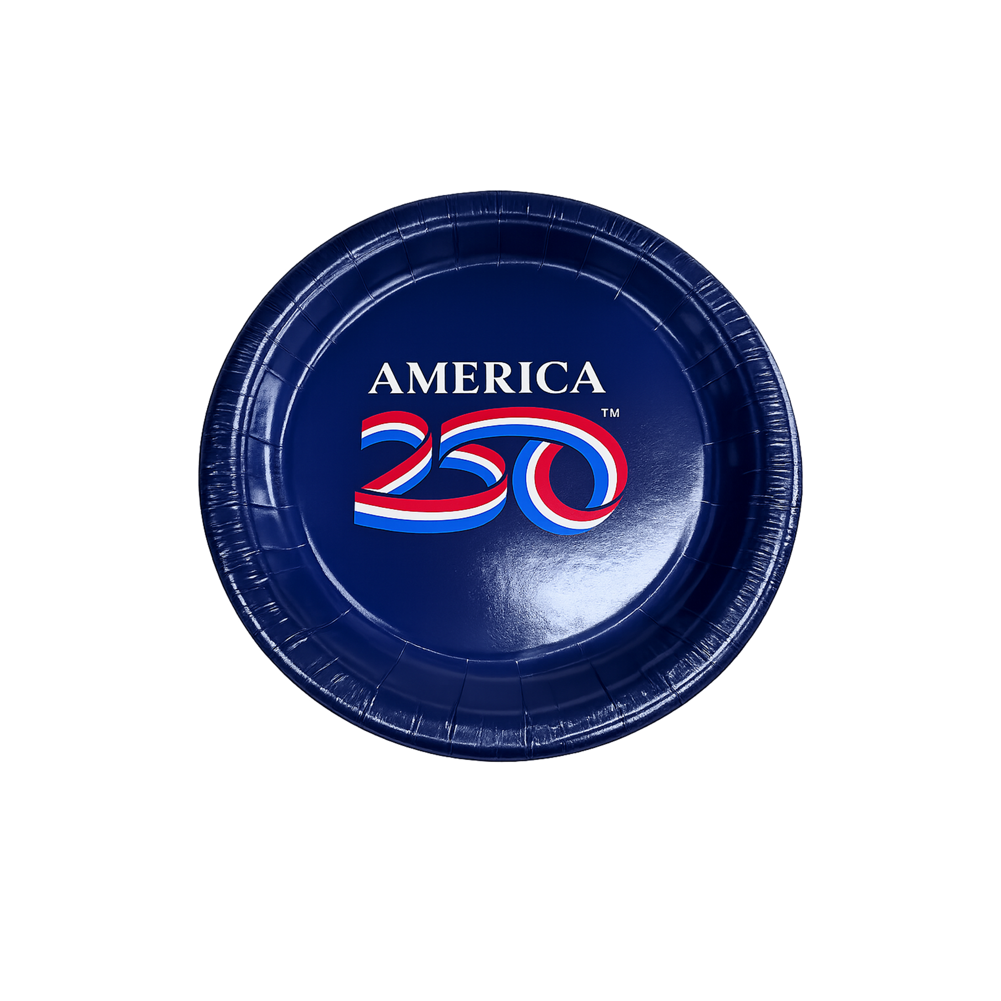 Official America250™ Disposable Paper Plates 10 Pack