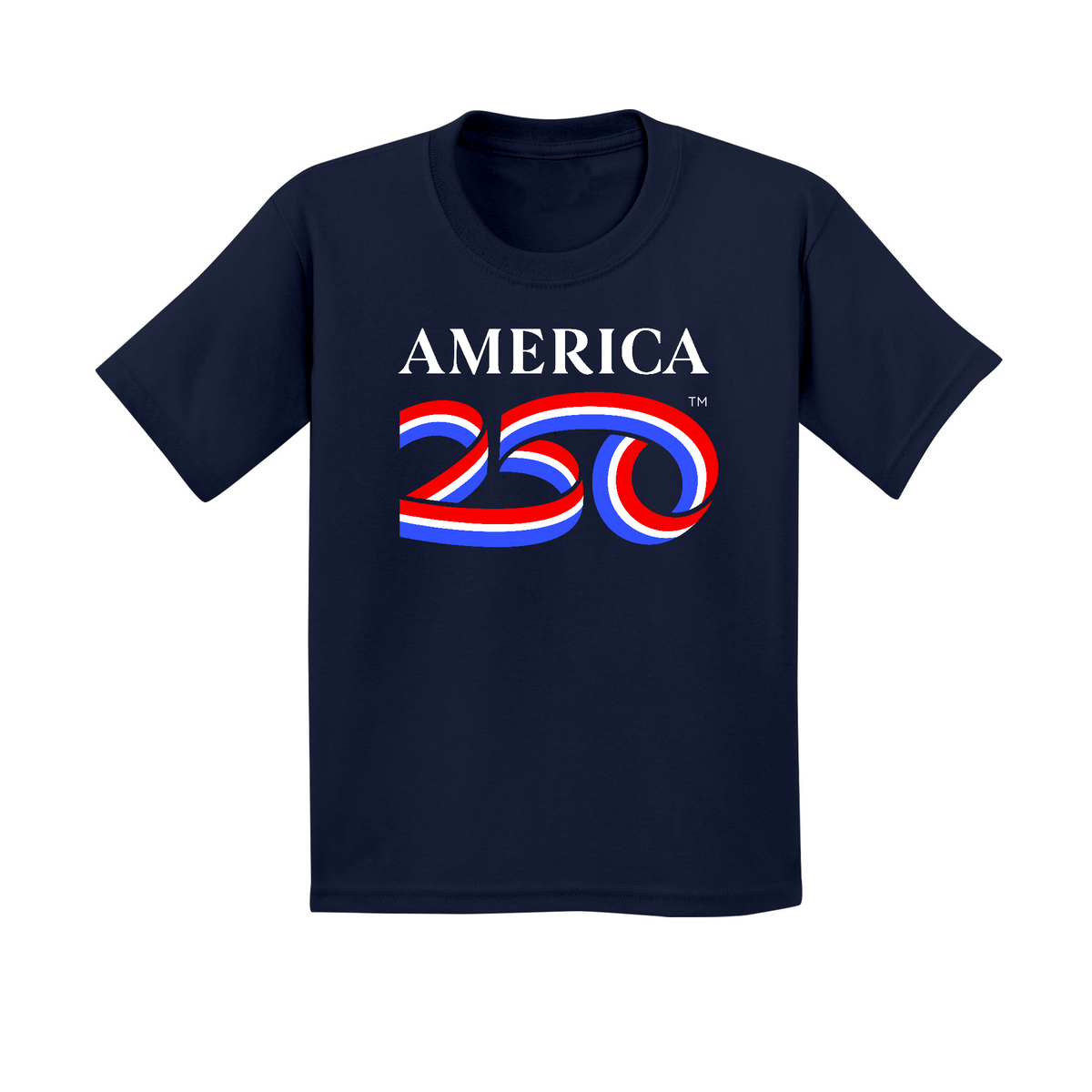 America 250 | Veterans Day V Flag Tee Shirt | Men's T-Shirt