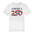 America250 Freedom & Liberty Men's T-Shirt