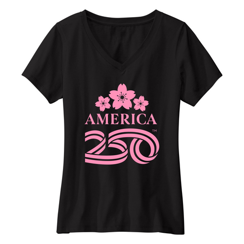 Womens Small Black Short Sleeve V-neck Tee
