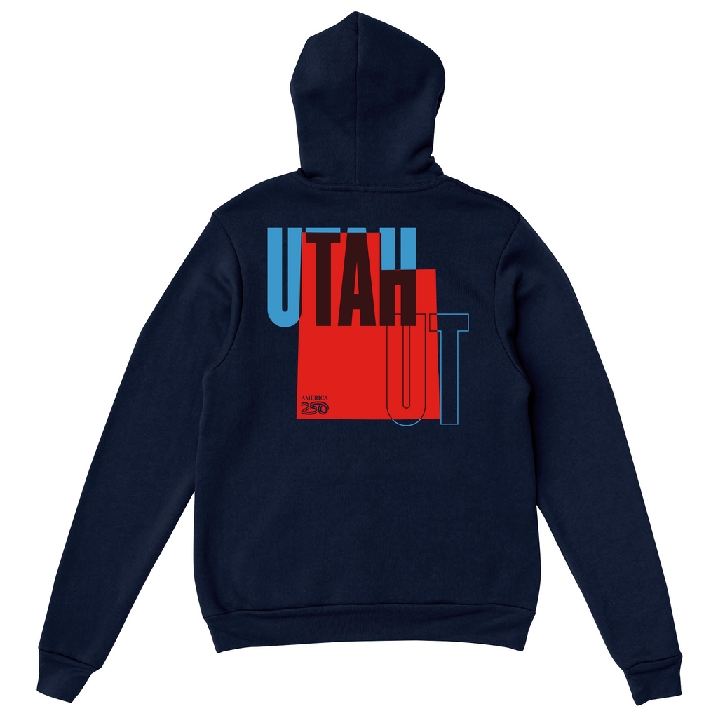 Mens Medium Navy Style_Hoodie