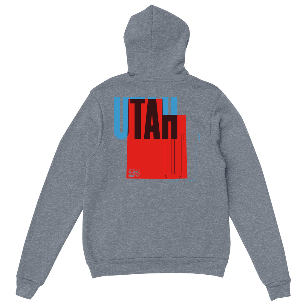 Mens Medium Dark Ash Style_Hoodie