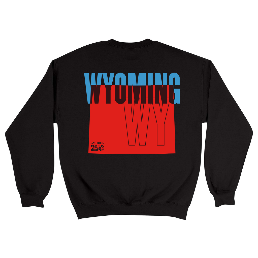 Unisex Medium Black Crewneck Sweatshirt