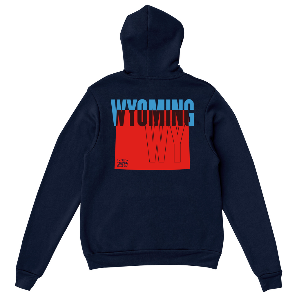 Mens Medium Navy Style_Hoodie