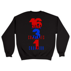 Unisex Medium Black Crewneck Sweatshirt